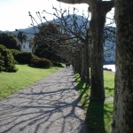 Gardens, Bellagio, Lake Como