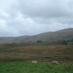 The view from a B road in the Scottish countryside