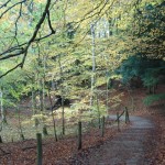 Walking around Derwent Water, Keswick