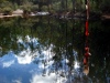 Rope swing over the Murray