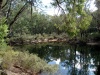 The Murray River